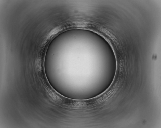 X0000101221451200806271436