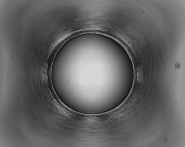 X0000101221452200806271436