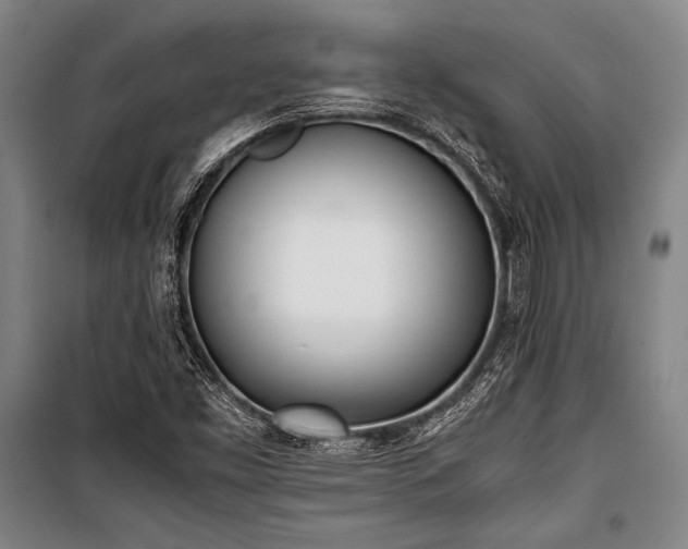X0000101221453200806271436