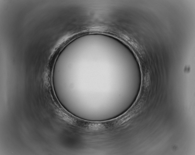 X0000101221454200806271436