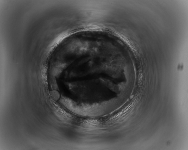 X0000101221455200806271436