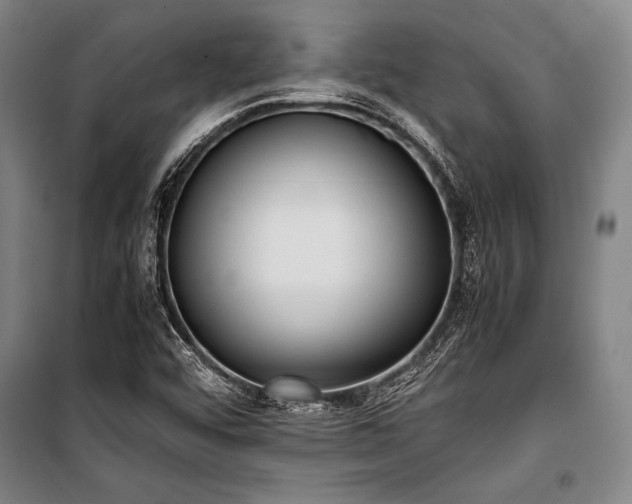 X0000101221456200806271436