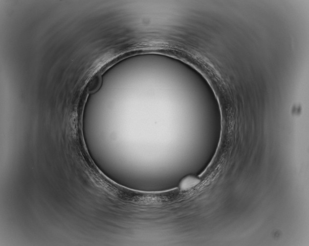 X0000101221457200806271436