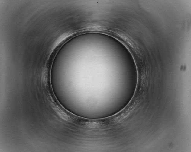 X0000101221458200806271436