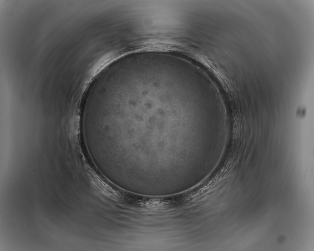 X0000101221459200806271436