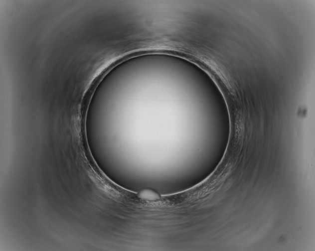 X0000101221460200806271435