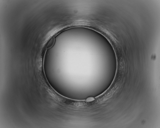 X0000101221461200806271435