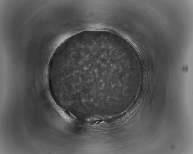 X0000101221463200806271435
