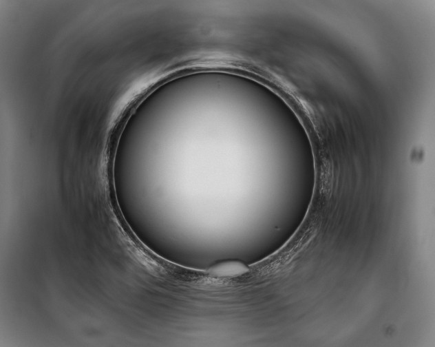 X0000101221464200806271435