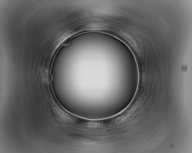 X0000101221465200806271435