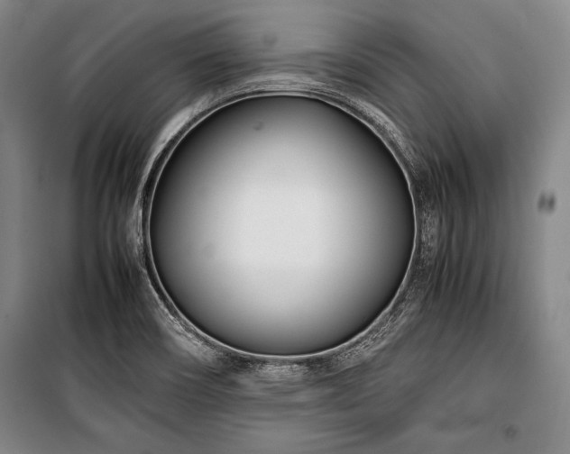 X0000101221466200806271435