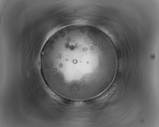 X0000101221467200806271435