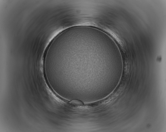 X0000101221468200806271435