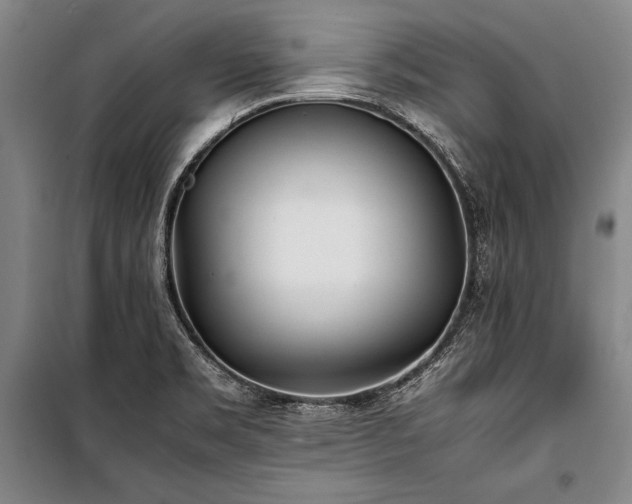 X0000101221469200806271435