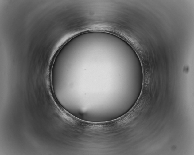 X0000101221470200806271435