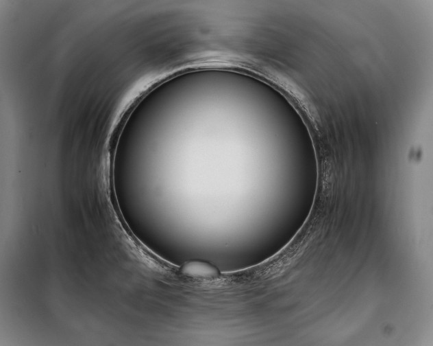 X0000101221472200806271435