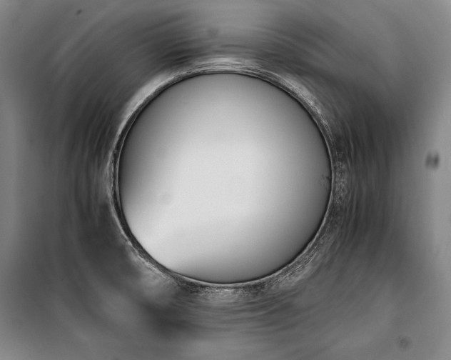 X0000101221474200806271435
