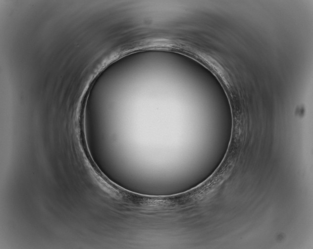 X0000101221475200806271435