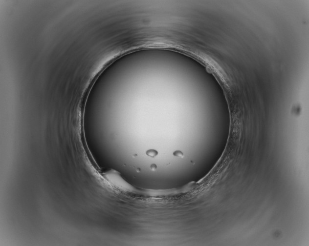 X0000101221476200806271435