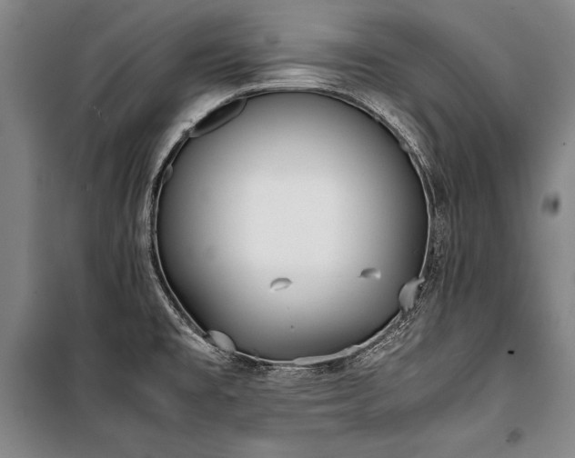 X0000101221477200806271435