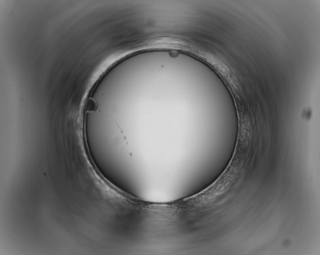 X0000101221478200806271435
