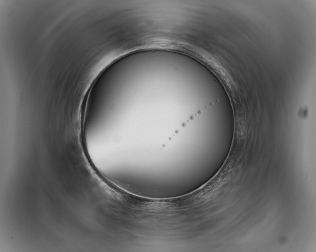 X0000101221479200806271435