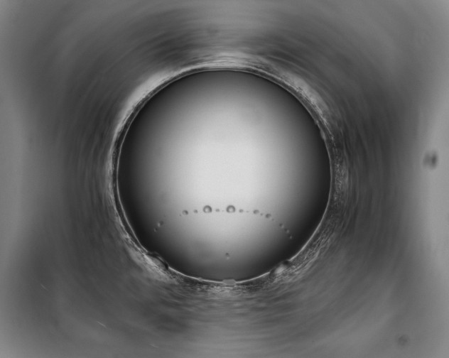 X0000101221480200806271435