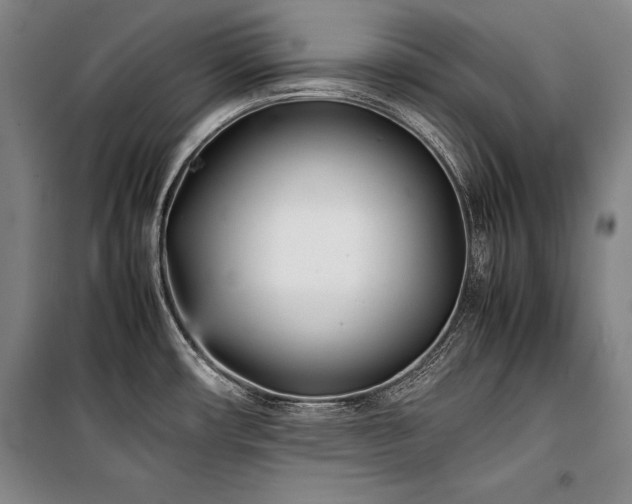 X0000101221482200806271435
