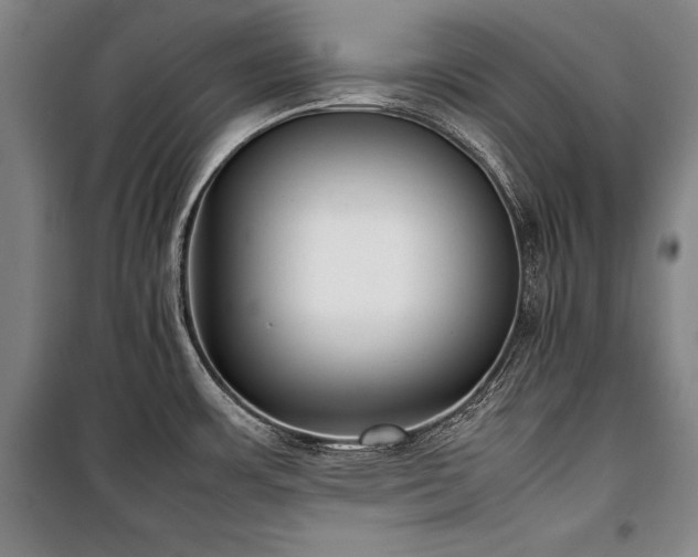X0000101221483200806271435