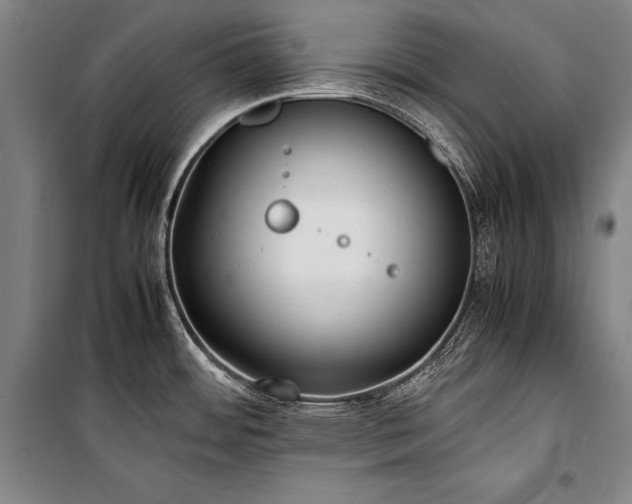 X0000101221484200806271435