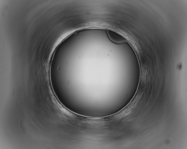 X0000101221486200806271435