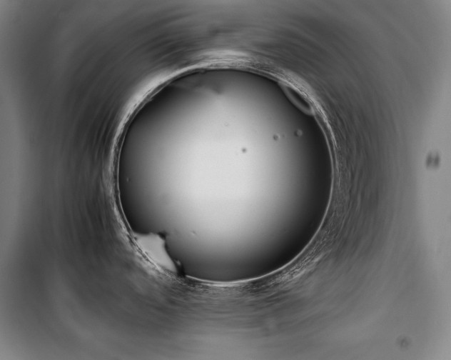 X0000101221488200806271435