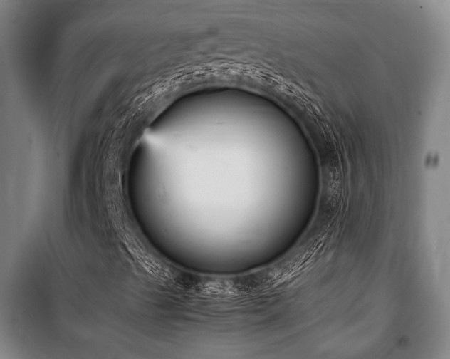 X0000101221489200806271434