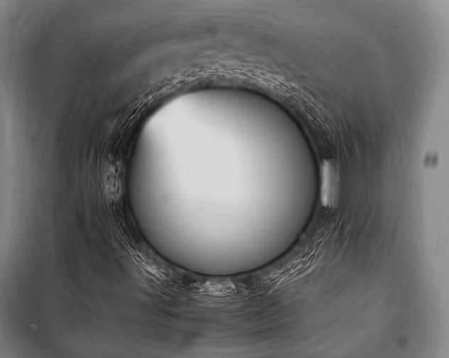 X0000101221491200806271434