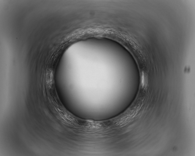 X0000101221492200806271434
