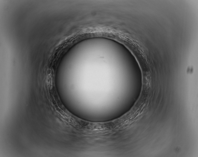 X0000101221493200806271434