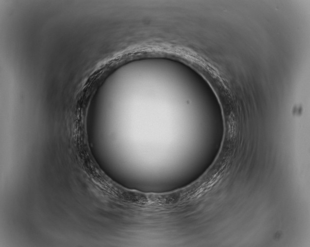 X0000101221494200806271434