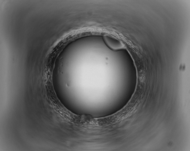 X0000101221495200806271434