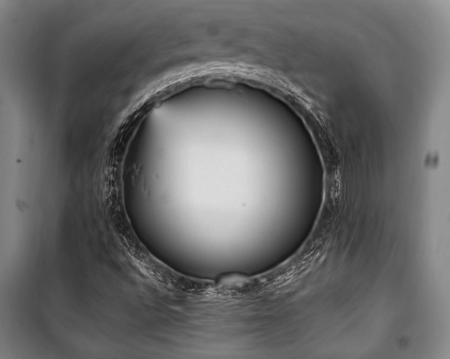X0000101221496200806271434