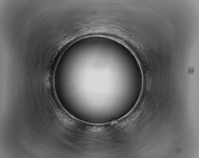X0000101221497200806271434