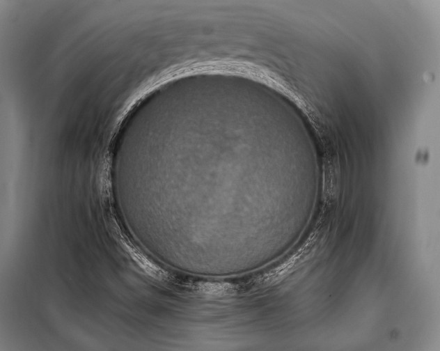 X0000101221498200806271434