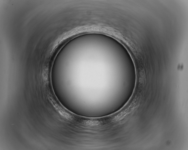 X0000101221499200806271434