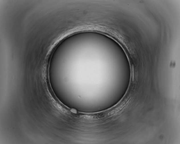 X0000101221500200806271434