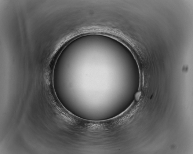 X0000101221501200806271434