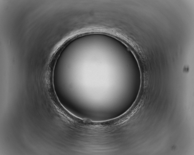 X0000101221502200806271434
