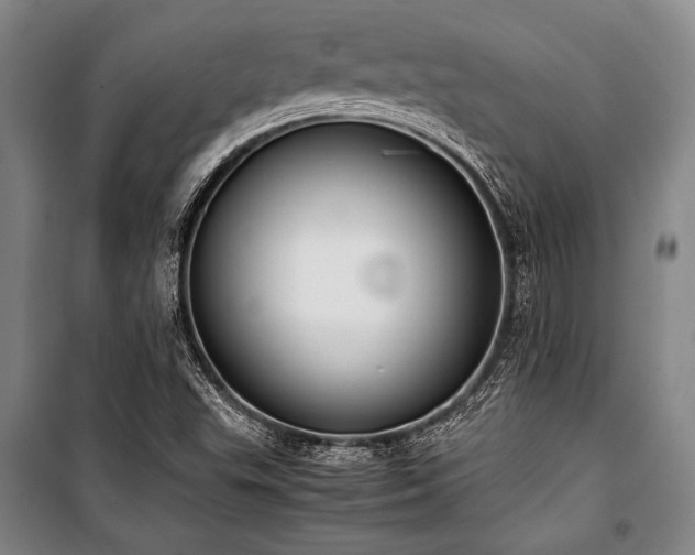 X0000101221503200806271434