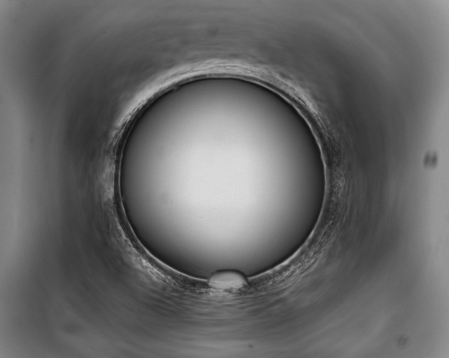 X0000101221504200806271434