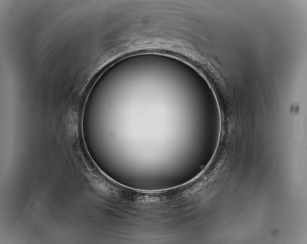 X0000101221505200806271434