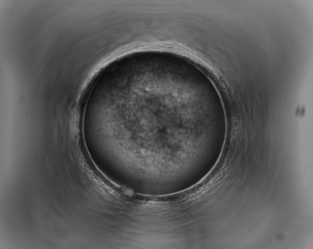 X0000101221506200806271434