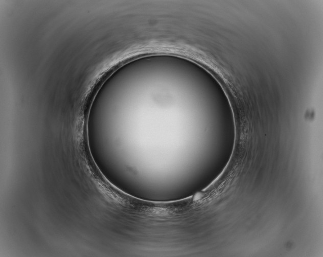 X0000101221507200806271434
